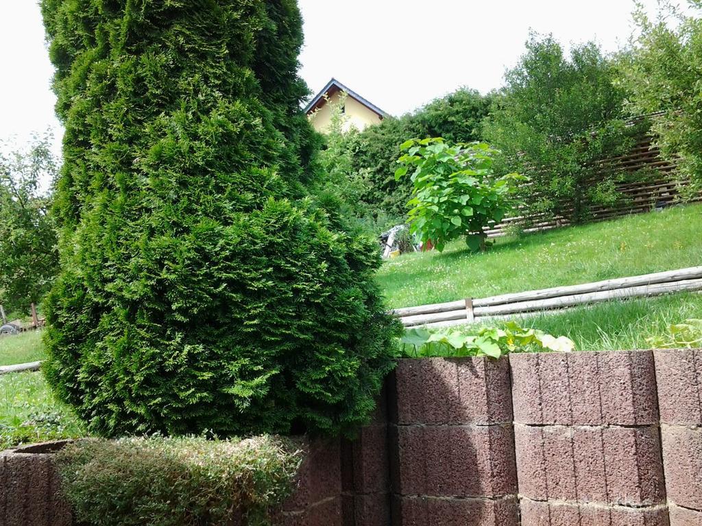 Ferienhaus Waldblick Sangerhausen Esterno foto