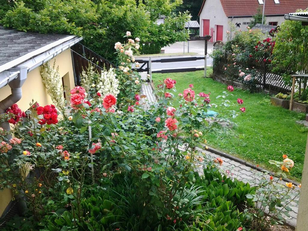 Ferienhaus Waldblick Sangerhausen Esterno foto